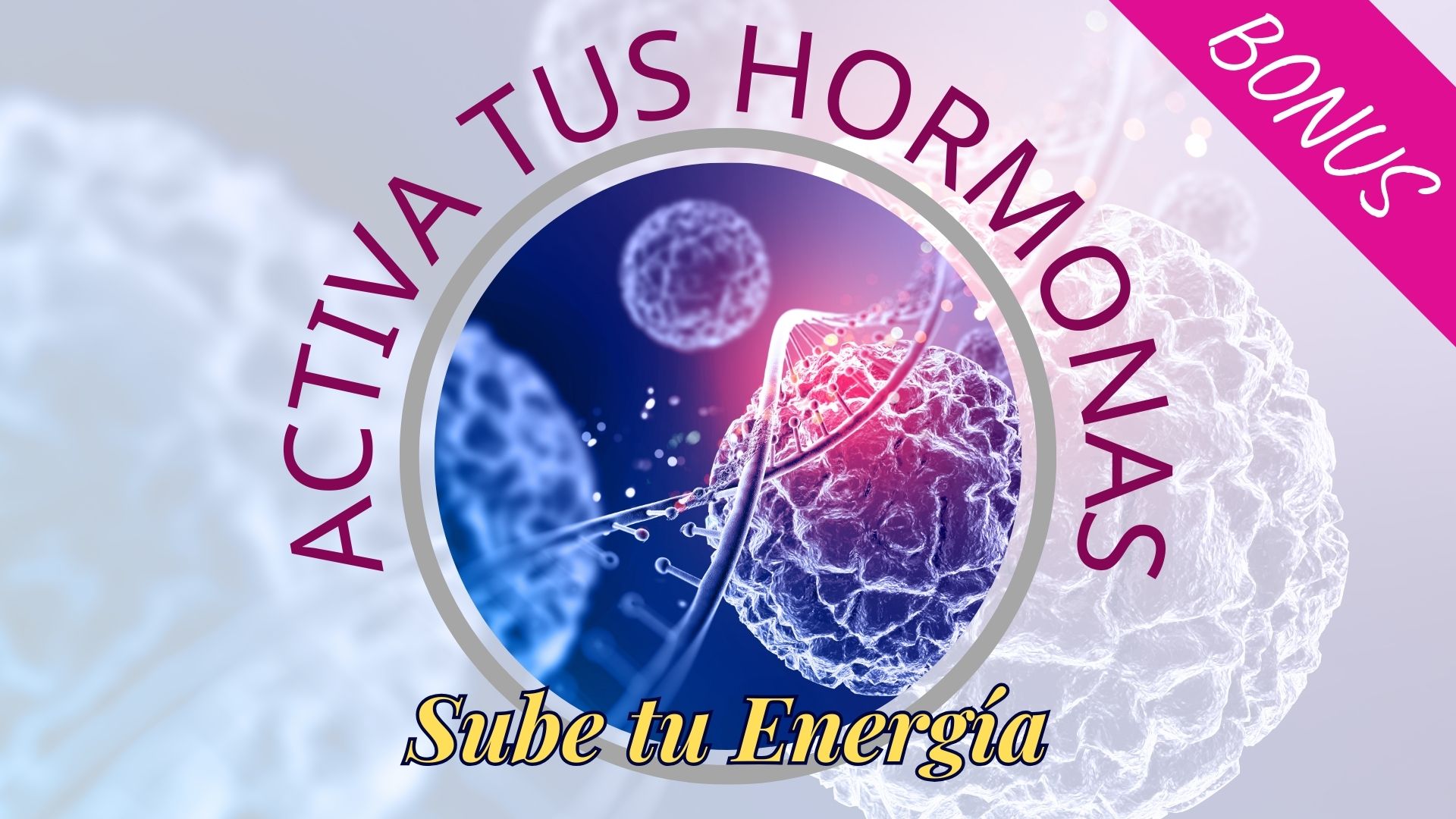 Lee más sobre el artículo 💡[BONUS] Activa tus Hormonas, sube tu Energía!! 