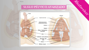 🎀 [Masterclass] Abre tu Suelo Pélvico: nivel Avanzado