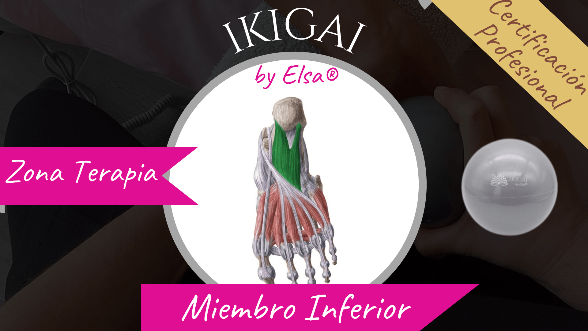 IKIGAI by Elsa®