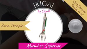 🙌🏻 Formación IKIGAI by Elsa® – Módulo Miembro Superior