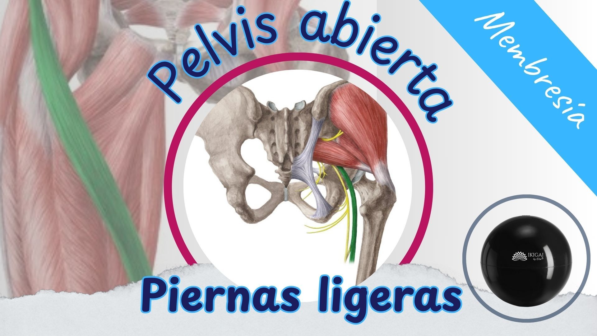 Lee más sobre el artículo 🤸🏻‍♀️[Membresía] Pelvis Abierta, Pierna Ligeras